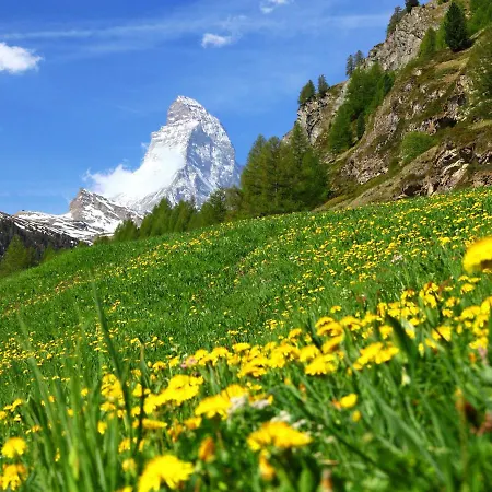 Apartman Ruetschi-1 By Interhome Zermatt